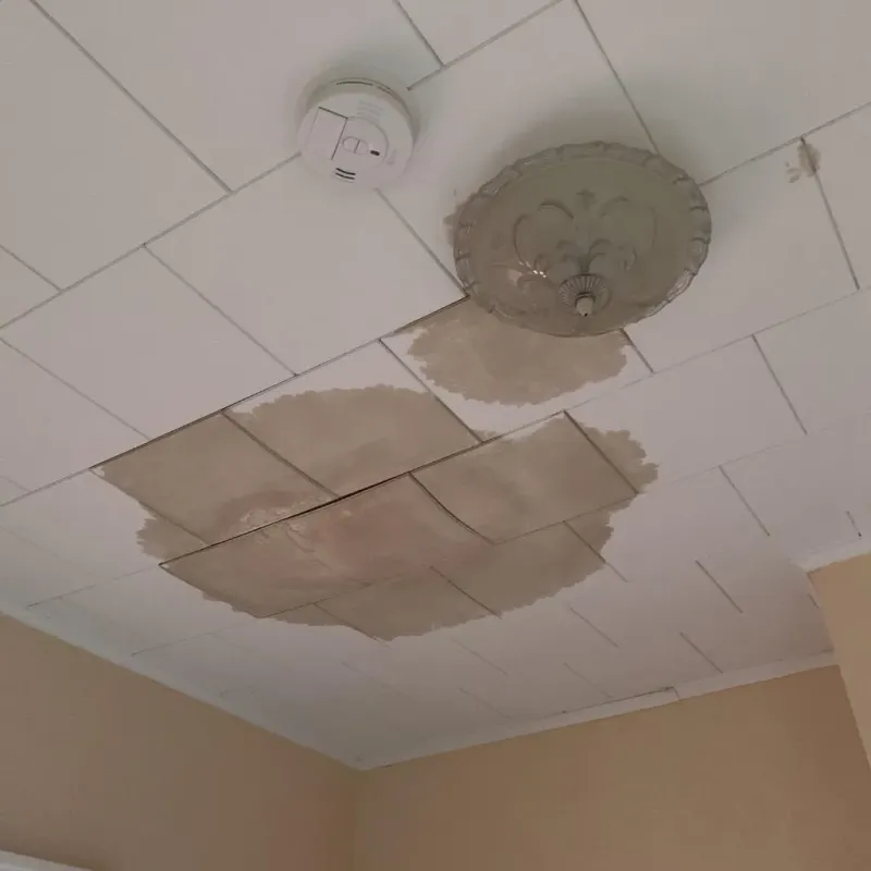 Ceiling Water Damage Repair in Columbia City, OR