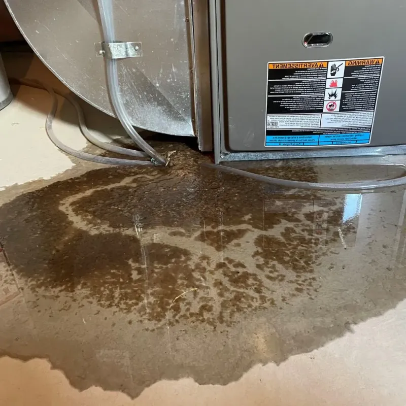 Pipe Burst and Leak Restoration in Columbia City, OR