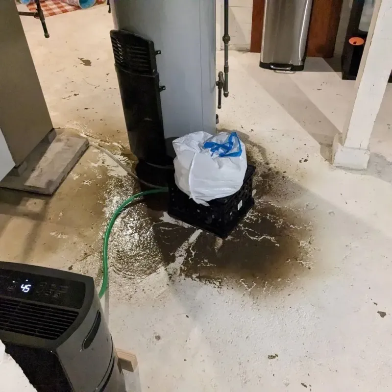 Sewage Backup Cleanup Service in Columbia City, OR